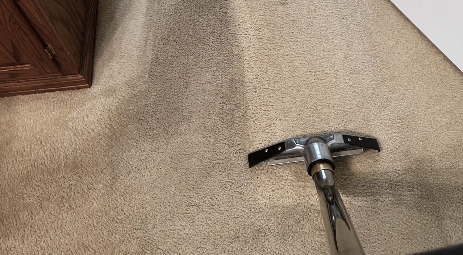 The traffic path in a carpet often needs the deepest clean.