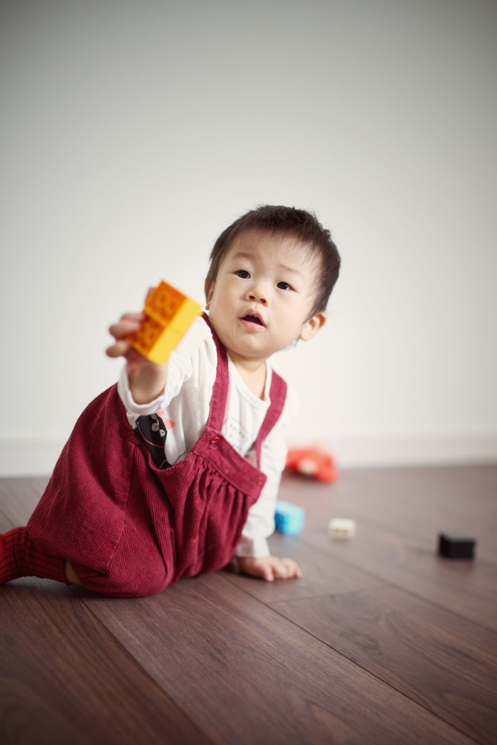 The first tip to babyproof your home is to use rugs on hardwood floors.
