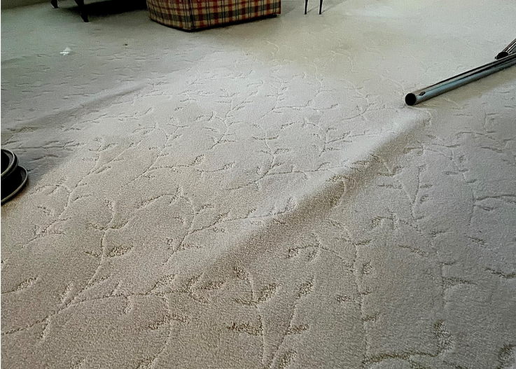 This client's living room carpet shows the tell-tale wrinkles casued by loose carpet.