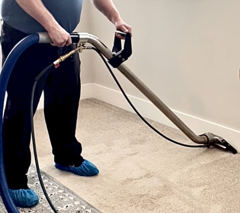 How to Tackle Those Black Lines (Filtration Soil) on Your Carpet. Pro