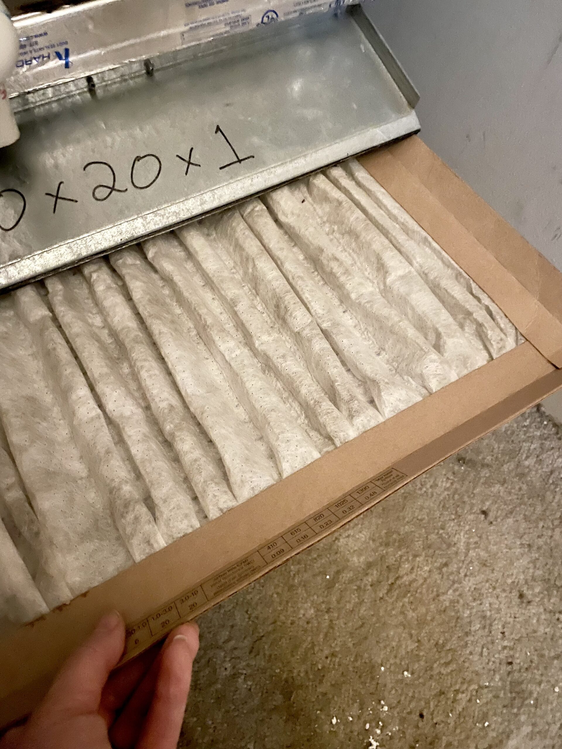 How to Tackle Those Black Lines (Filtration Soil) on Your Carpet. Pro