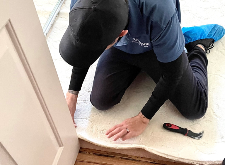 How to Tackle Those Black Lines (Filtration Soil) on Your Carpet. Pro