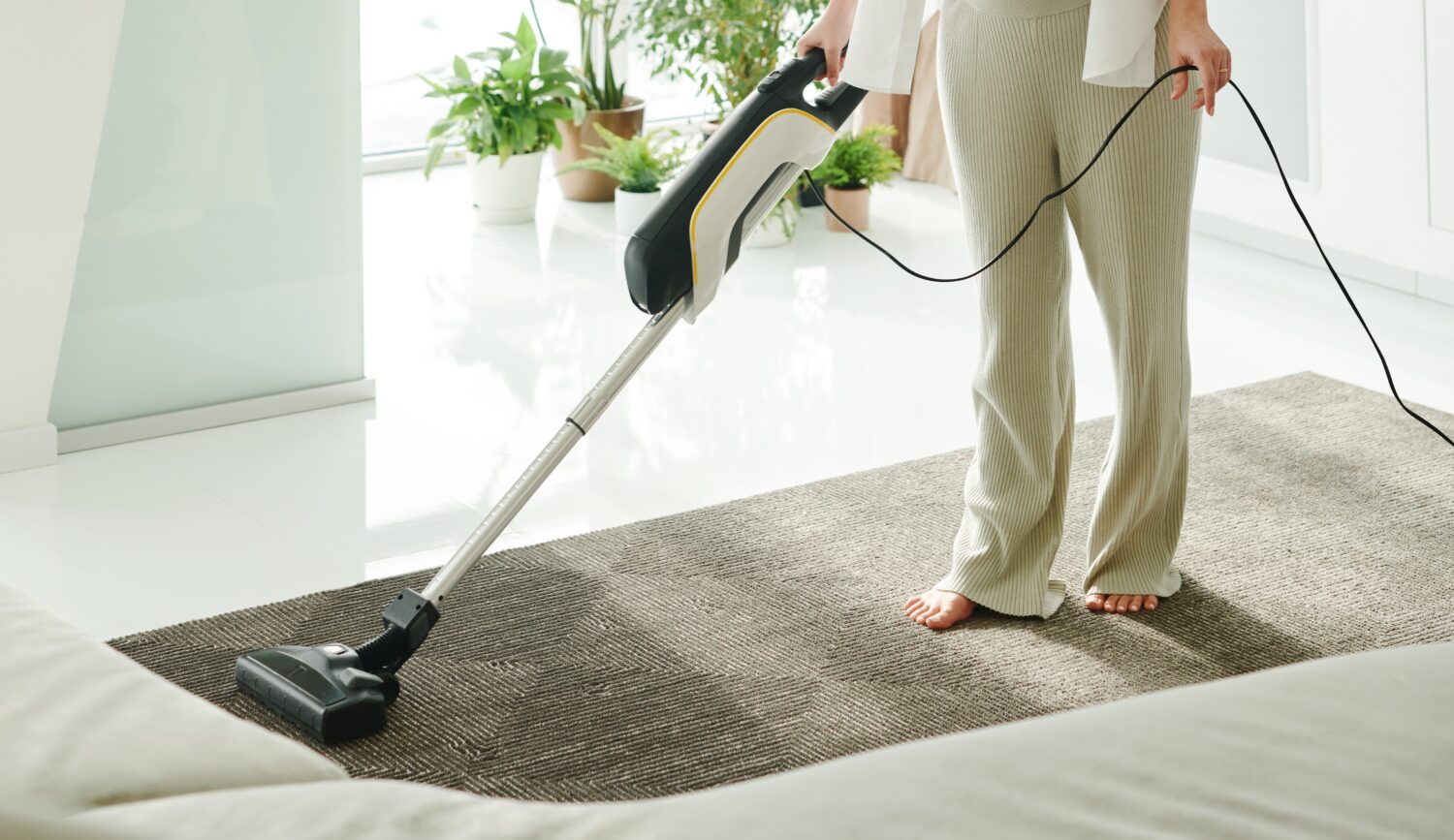 This homeowner chooses the bagless vacuum cleaner as the best vacuum for keeping her area rugs dirt free.