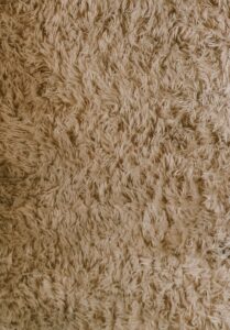 Tan high pile carpet