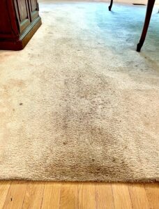 Traffic paths, can occur on carpet in heavy use areas of our homes. It is usually a mix of soil and structural damage.