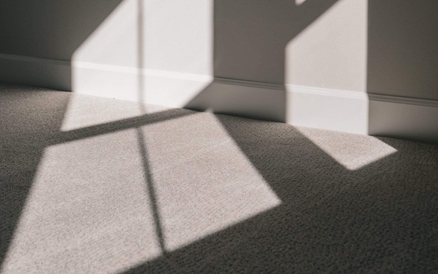 Sunlight shines across light carpet