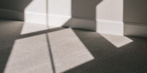 Sunlight shines across light carpet