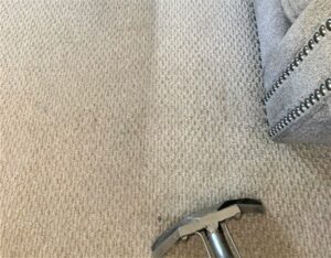 Image of carpet area mid-clean shows how much of an impact carpet cleaning can have.